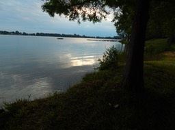 DSCN4287